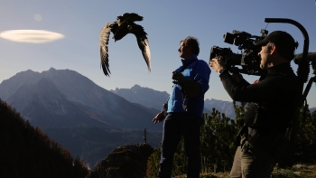 Eagle shoot Alps